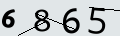 verifycode
